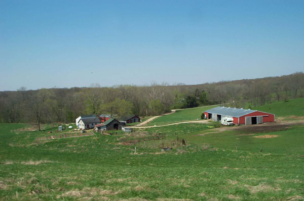 View from the Top of the Hill