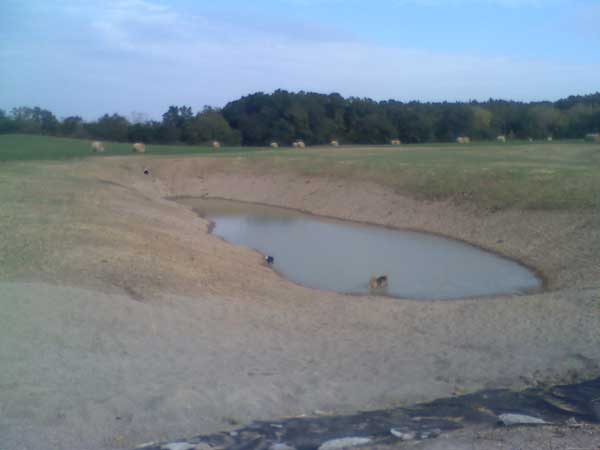 Pond Filling Up