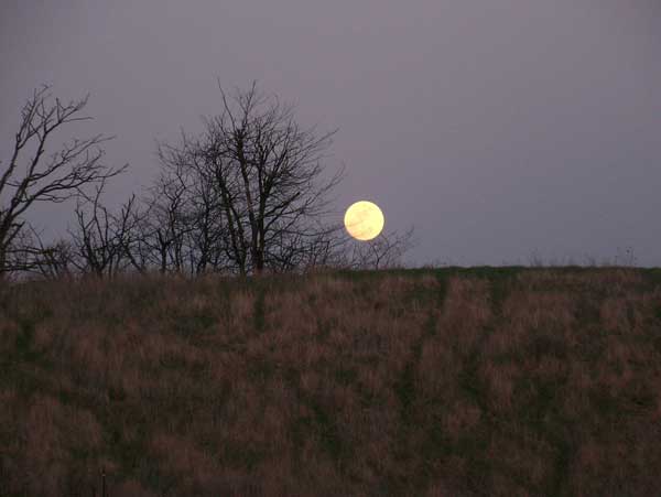 Full Moon over the Ridge